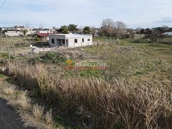 https://web5.gallito.com.uy/terreno-en-canelones-461-m2-en-parada-rodo-inmuebles-27731325