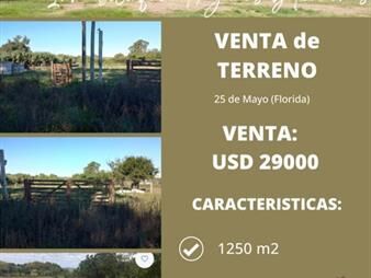 https://web5.gallito.com.uy/terreno-en-venta-ubicado-en-25-de-mayo-florida-inmuebles-26597789