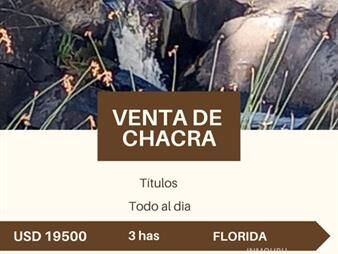 https://web5.gallito.com.uy/chacra-en-venta-ubicada-en-25-de-mayo-florida-inmuebles-26597714