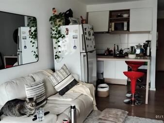 https://www.gallito.com.uy/alquiler-amplio-monoambiente-terraza-bajos-gastos-inmuebles-27732452