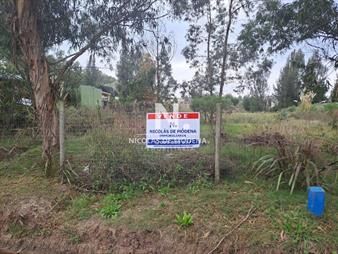https://web5.gallito.com.uy/terreno-900mts2-sobre-camino-eguzaquiza-la-barra-inmuebles-26836689