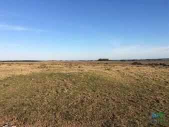 https://web5.gallito.com.uy/imperdible-oportunidad-campo-con-potencial-de-en-inmuebles-24240648