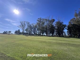 https://www.gallito.com.uy/terreno-en-venta-pueblo-mio-elevado-y-con-laguna-inmuebles-27739185