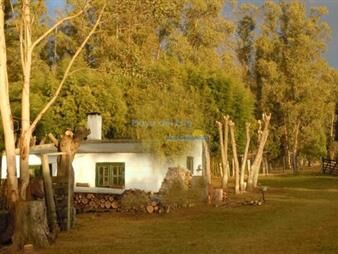 https://web5.gallito.com.uy/chacra-en-venta-ubicada-a-2-km-de-la-ciudad-de-inmuebles-27739955