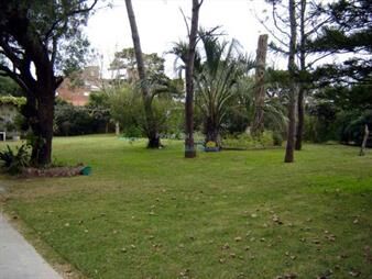 https://web5.gallito.com.uy/en-aidy-grlll-tierra-apta-para-altura-inmuebles-27740269