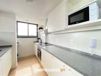 https://web5.gallito.com.uy/brava-alquiler-anual-y-venta-inmuebles-27745523
