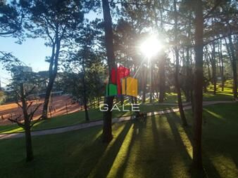 https://web5.gallito.com.uy/edificio-pharos-arcobaleno-inmuebles-25331019