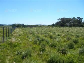 https://web5.gallito.com.uy/chacras-de-5-has-ruta-39-san-carlos-inmuebles-26146934
