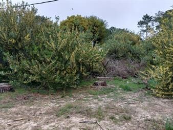 https://www.gallito.com.uy/terreno-en-la-paloma-rocha-inmuebles-27753727