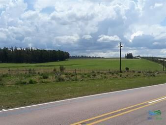 https://web5.gallito.com.uy/chacra-5-has-sobre-r39-a-15-kms-de-ruta-9-y-32-inmuebles-24678305