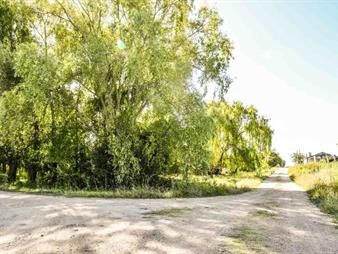 https://www.gallito.com.uy/venta-de-terreno-ciudad-de-migues-canelones-inmuebles-26875205