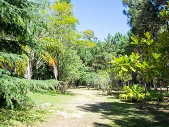 https://www.gallito.com.uy/venta-de-lote-de-10-hectareas-sobre-ruta10-cerca-de-valizas-inmuebles-27745742