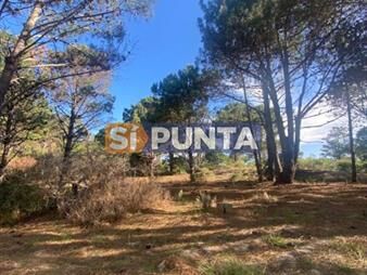 https://web5.gallito.com.uy/lote-en-barrio-privado-laguna-escondida-jose-inmuebles-27609150