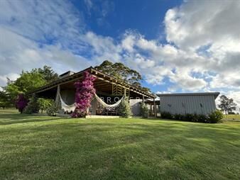 https://www.gallito.com.uy/alquiler-casa-en-el-quijote-de-4-dormitorios-en-inmuebles-27754134