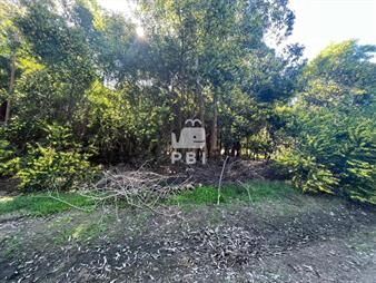 https://web5.gallito.com.uy/terreno-en-venta-en-sauce-de-portezuelo-punta-inmuebles-27754302