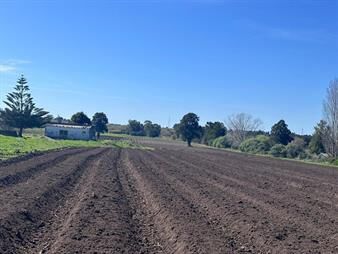 https://web5.gallito.com.uy/venta-de-chacra-de-11-hectareas-montevideo-rural-inmuebles-27754411