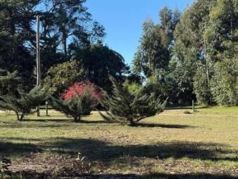 https://www.gallito.com.uy/venta-de-chacra-7-has-ruta-6-km-25300-inmuebles-27754445