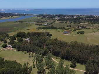 https://web5.gallito.com.uy/en-venta-chacra-de-1-hectarea-en-laguna-del-punta-inmuebles-27453358