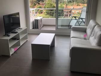 https://web5.gallito.com.uy/venta-apartamento-1-dormitorio-av-roosevelt-punta-inmuebles-27754567