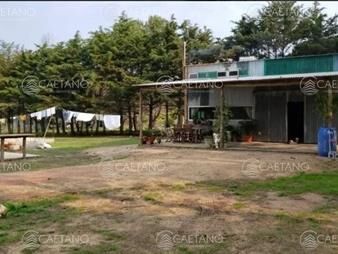 https://web5.gallito.com.uy/chacra-en-venta-inmuebles-24202547