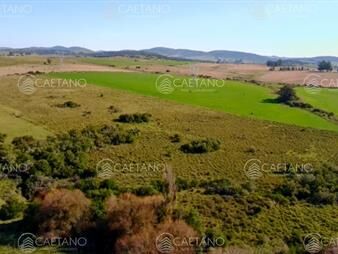 https://web5.gallito.com.uy/oportunidad-a-4-km-de-ruta-39-en-las-cañas-2-inmuebles-27615521