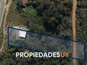 https://web5.gallito.com.uy/terreno-en-venta-punta-ballena-inmuebles-27756697