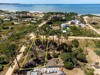 https://web5.gallito.com.uy/terreno-en-chihuahua-total-1000m2-inmuebles-27756698