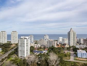 https://web5.gallito.com.uy/se-vende-apartamento-en-ocean-drive-ii-de-3-punta-inmuebles-27392199