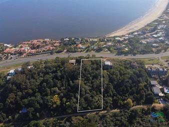 https://www.gallito.com.uy/venta-de-terreno-panoramico-en-el-lomo-de-punta-inmuebles-27723657