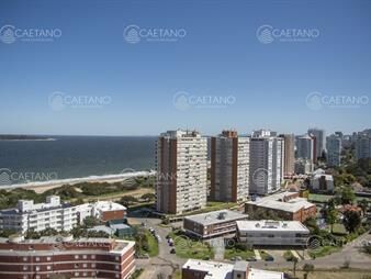 https://web5.gallito.com.uy/miami-boulevard-punta-del-este-playa-mansa-dos-inmuebles-25940862