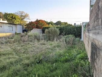 https://web5.gallito.com.uy/terreno-cerrado-para-posible-deposito-o-taller-acepta-inmuebles-26386235