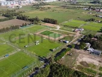 https://web5.gallito.com.uy/complejo-deportivo-en-venta-gran-oportunidad-excelente-re-inmuebles-26386252