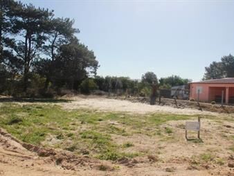 https://web5.gallito.com.uy/terreno-esquinero-nivelado-a-metros-de-ruta-ib-parque-del-inmuebles-26386304