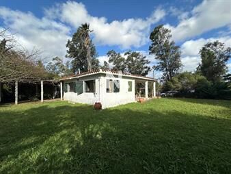 https://web5.gallito.com.uy/vende-casa-de-3-dormitorios-en-el-tesoro-inmuebles-27196255