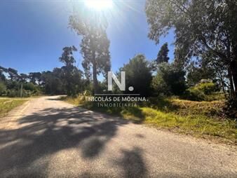 https://web5.gallito.com.uy/terreno-en-marly-punta-del-este-inmuebles-27144206