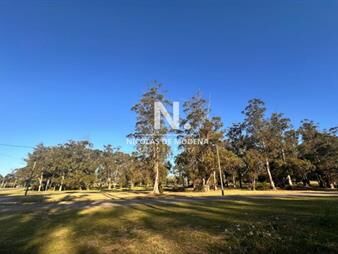 https://web5.gallito.com.uy/vende-terreno-en-marly-punta-del-este-inmuebles-27144152