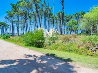 https://web5.gallito.com.uy/vende-terreno-en-laguna-blanca-inmuebles-26696591