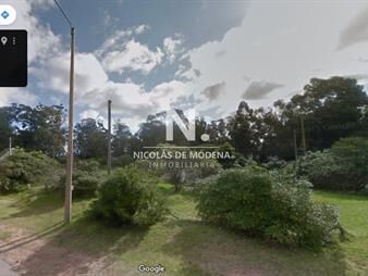 https://www.gallito.com.uy/vende-terreno-muy-cerca-del-mar-punta-ballena-inmuebles-26427854