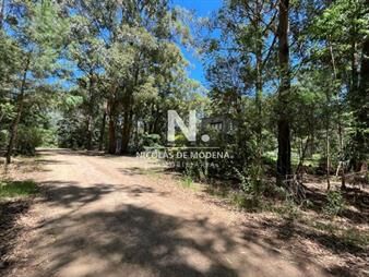 https://web5.gallito.com.uy/vende-terreno-de-1000m2-en-punta-ballena-inmuebles-26199794