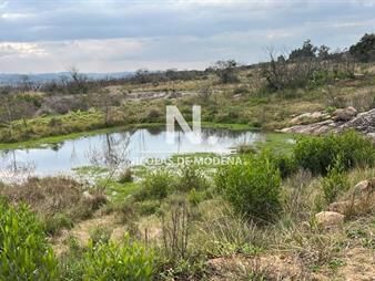 https://www.gallito.com.uy/vende-chacra-en-pueblo-eden-de-5-has-inmuebles-26273448