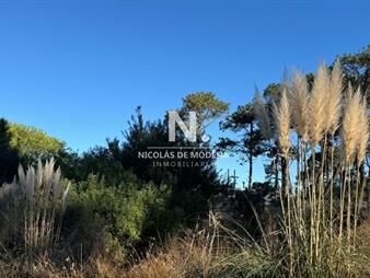 https://www.gallito.com.uy/en-venta-terreno-en-barraverde-con-gran-inmuebles-26109259