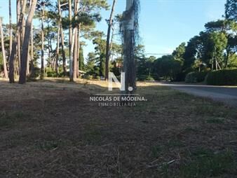 https://web5.gallito.com.uy/en-venta-terreno-esquinero-en-punta-del-este-inmuebles-25998004
