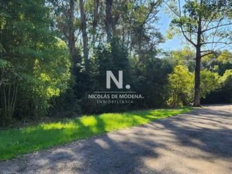 https://web5.gallito.com.uy/vende-terreno-amplio-de-4226-m2-en-las-cumbres-inmuebles-25958934
