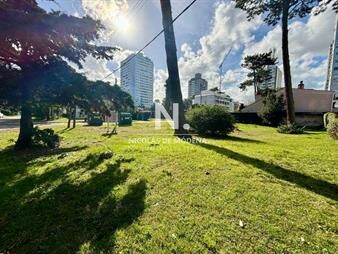 https://web5.gallito.com.uy/en-venta-terreno-en-roosevelt-punta-del-este-de-inmuebles-25703321