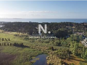 https://web5.gallito.com.uy/ideal-inversores-terreno-con-vista-a-la-laguna-o-inmuebles-25623960