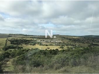 https://web5.gallito.com.uy/en-venta-campo-tipo-criador-en-montevideo-y-inmuebles-25495000