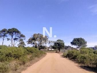 https://web5.gallito.com.uy/vende-terreno-en-club-del-lago-punta-ballena-inmuebles-25417582