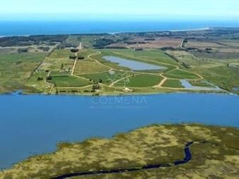 https://www.gallito.com.uy/terreno-en-punta-ballena-laguna-de-los-cisnes-inmuebles-27764191