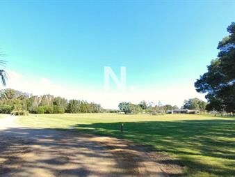 https://www.gallito.com.uy/terreno-de-5-mil-m2-en-venta-en-el-quijote-inmuebles-24996033
