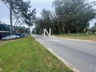 https://web5.gallito.com.uy/vende-terreno-de-1200m2-en-pedragosa-sierra-del-inmuebles-26178074